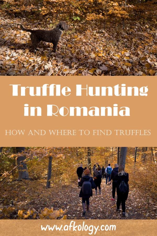 Truffle Hunting Pin 02