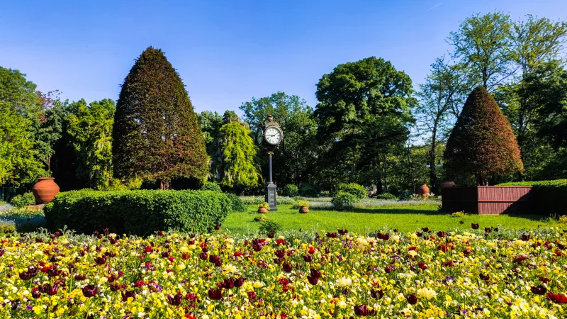 Escape to Cişmigiu Garden, Bucharest