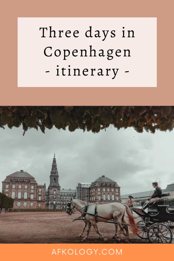 Copenhagen Pin 02