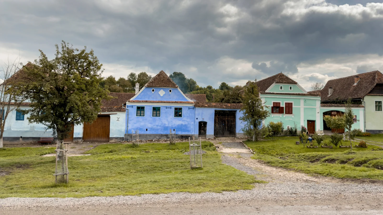 Viscri, houses on the road